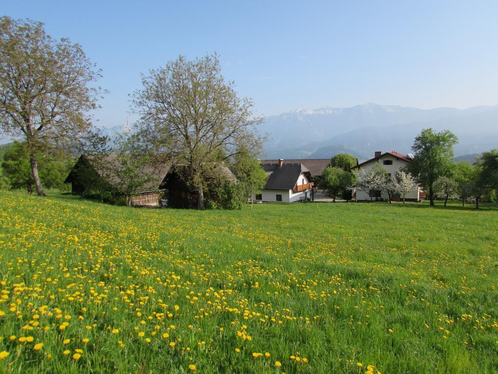 Ferienhof Breitenbaumer Spital Am Pyhrn Εξωτερικό φωτογραφία